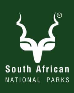 WHITE ON GREEN LOGO - Cape Town Paragliding 2026